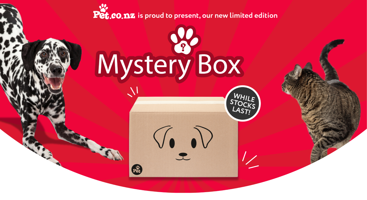 dog mystery box